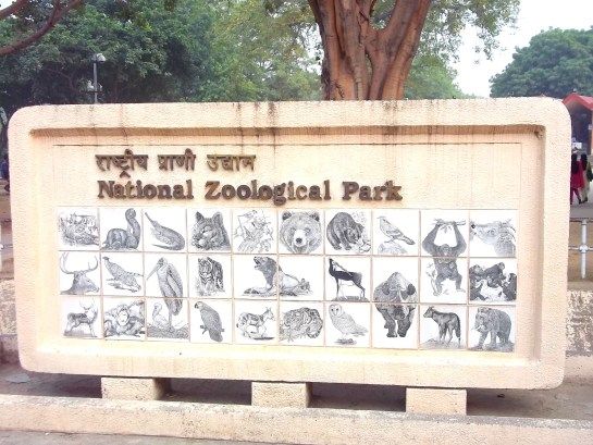 Delhi Zoo